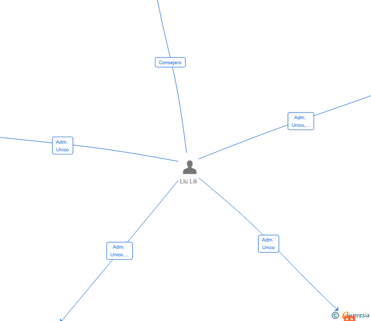 Vinculaciones societarias de LIXIN 2025 SL