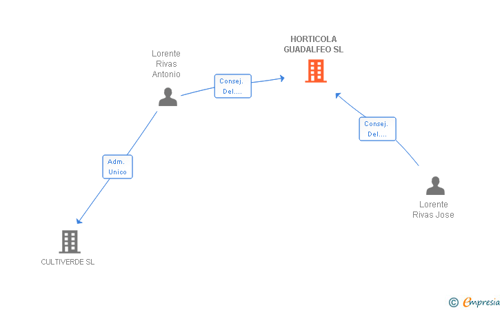 Vinculaciones societarias de HORTICOLA GUADALFEO SL