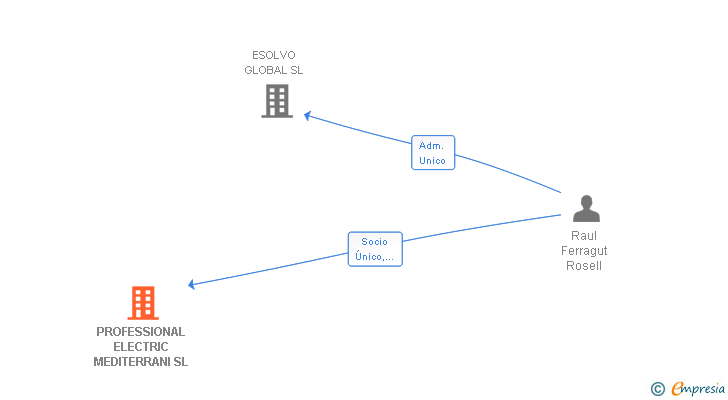Vinculaciones societarias de PROFESSIONAL ELECTRIC MEDITERRANI SL