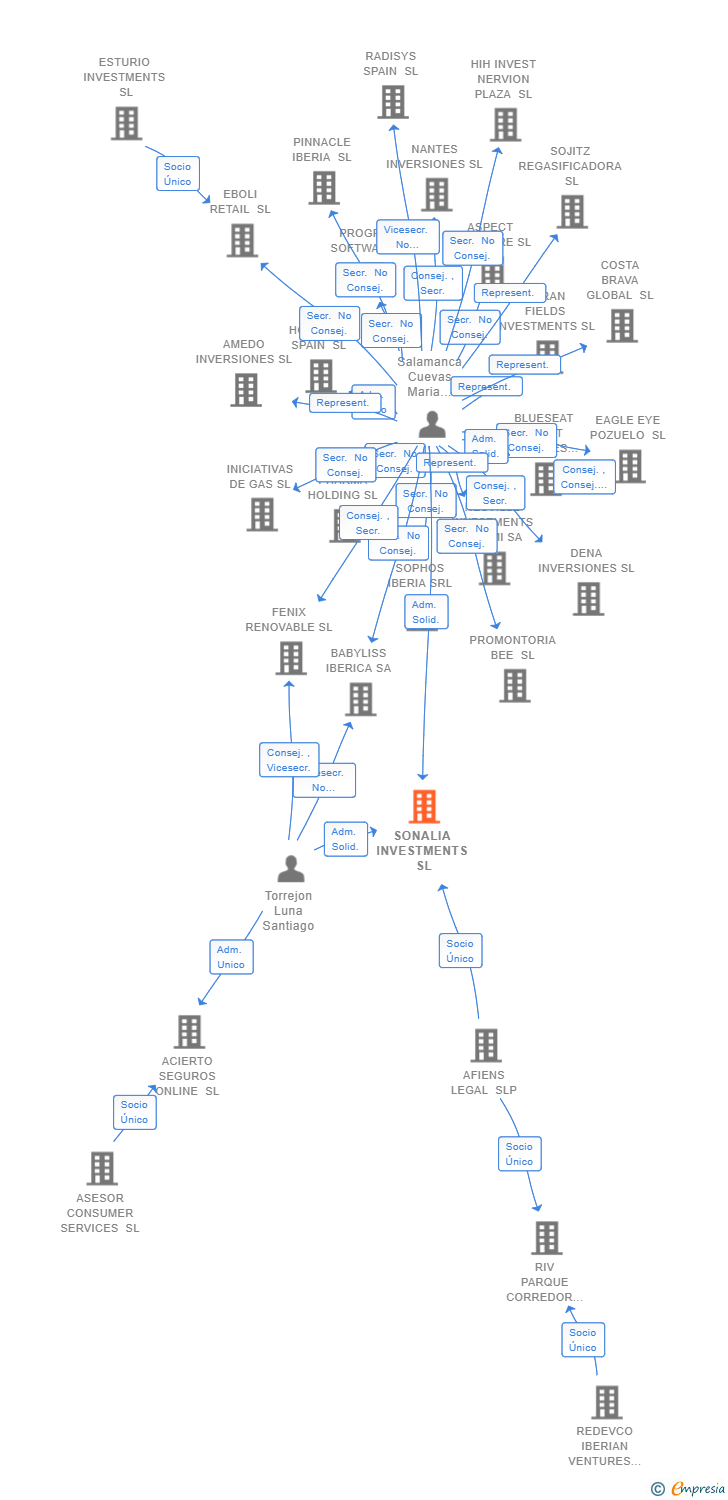 Vinculaciones societarias de SONALIA INVESTMENTS SL