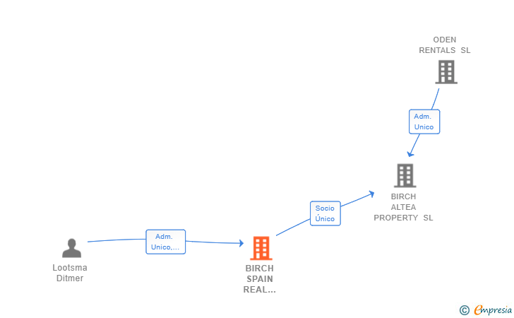 Vinculaciones societarias de BIRCH SPAIN REAL ESTATE SL