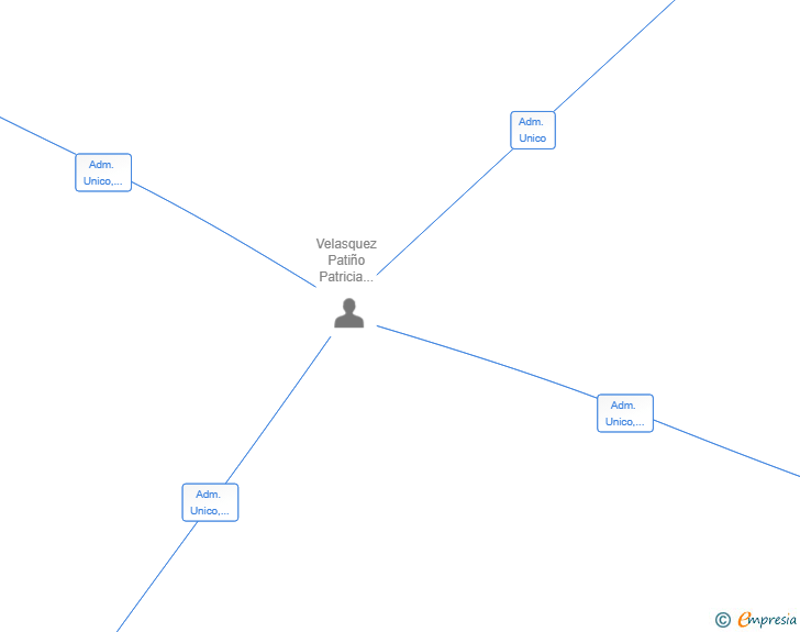 Vinculaciones societarias de VP LOS NAVELES GRUPO EMPRESARIAL SL
