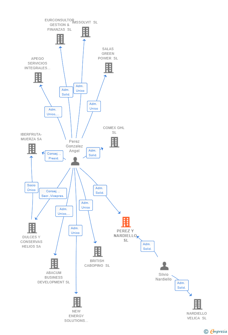 Vinculaciones societarias de PEREZ Y NARDIELLO SL