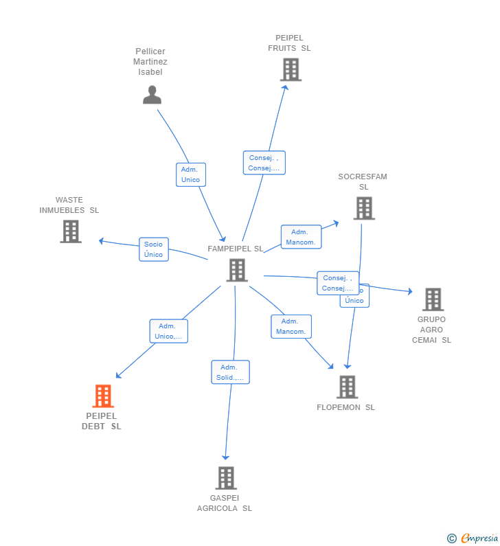Vinculaciones societarias de PEIPEL DEBT SL