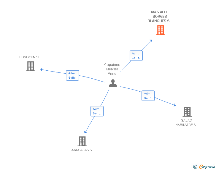 Vinculaciones societarias de MAS VELL BORGES BLANQUES SL