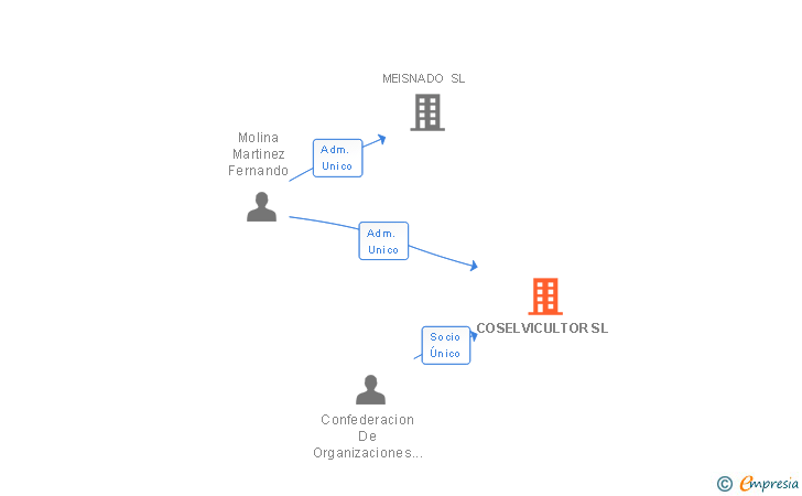 Vinculaciones societarias de COSELVICULTOR SL