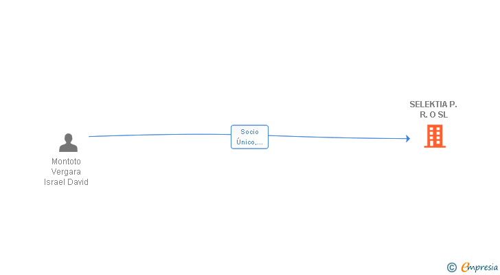 Vinculaciones societarias de SELEKTIA P. R. O SL (EXTINGUIDA)