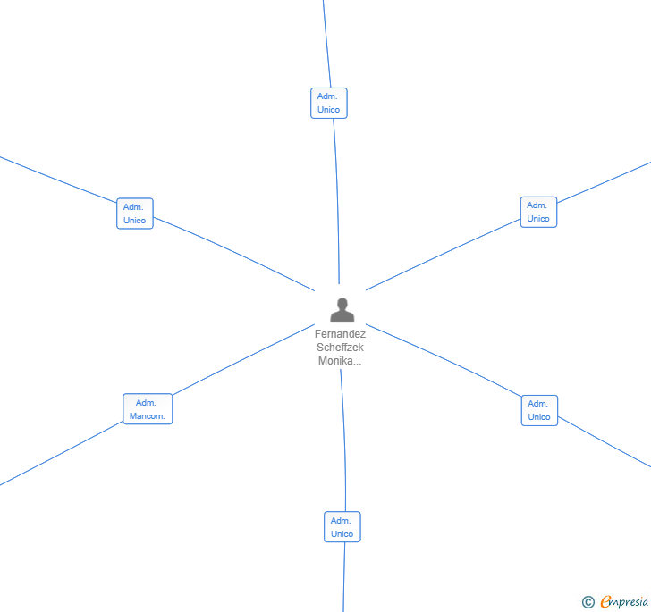 Vinculaciones societarias de AFFAMATA SL