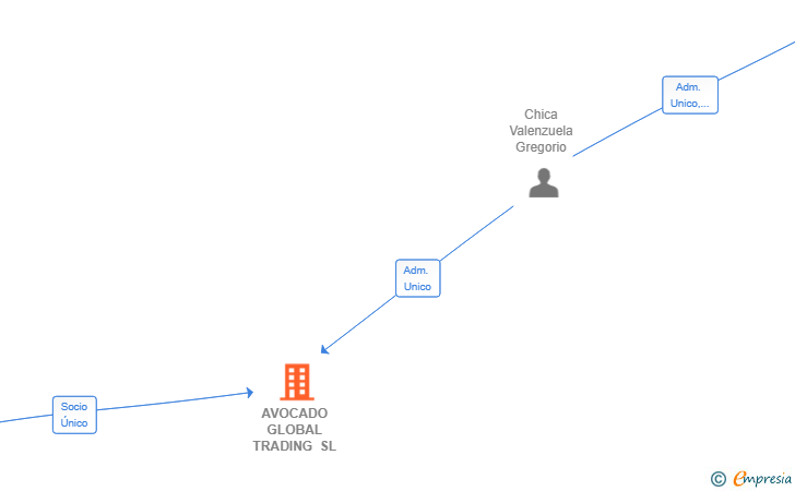 Vinculaciones societarias de AVOCADO GLOBAL TRADING SL