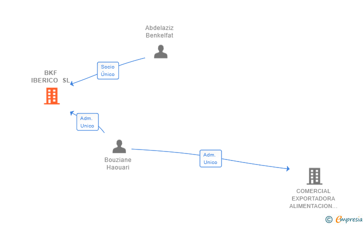 Vinculaciones societarias de BKF IBERICO SL
