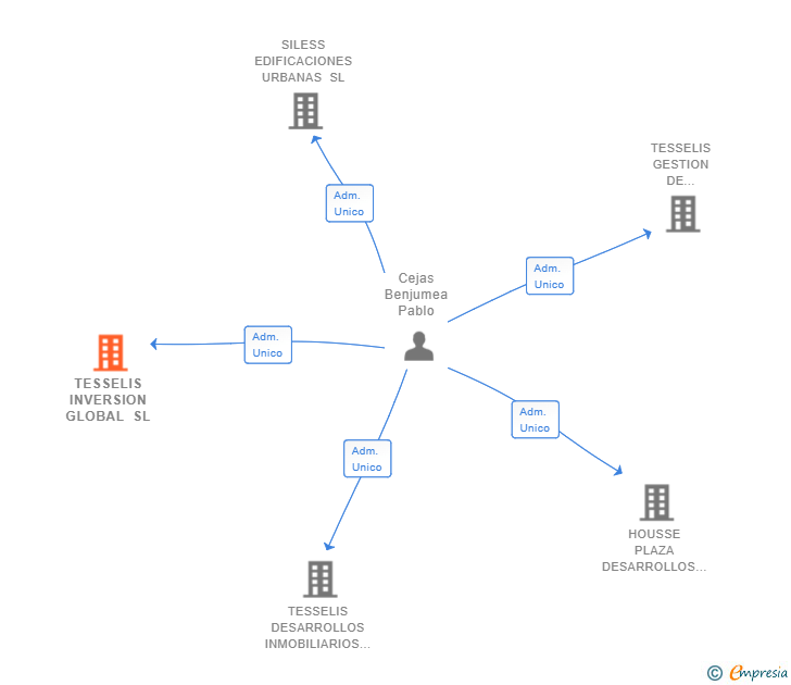 Vinculaciones societarias de TESSELIS INVERSION GLOBAL SL