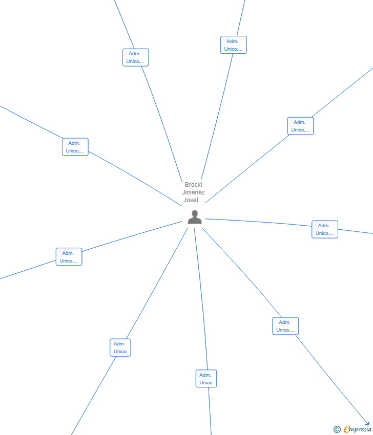 Vinculaciones societarias de EVOLVE BUSINESS SL