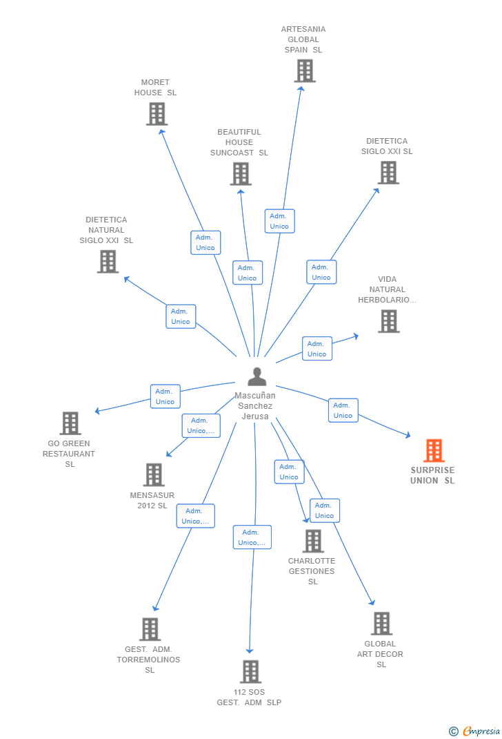 Vinculaciones societarias de SURPRISE UNION SL