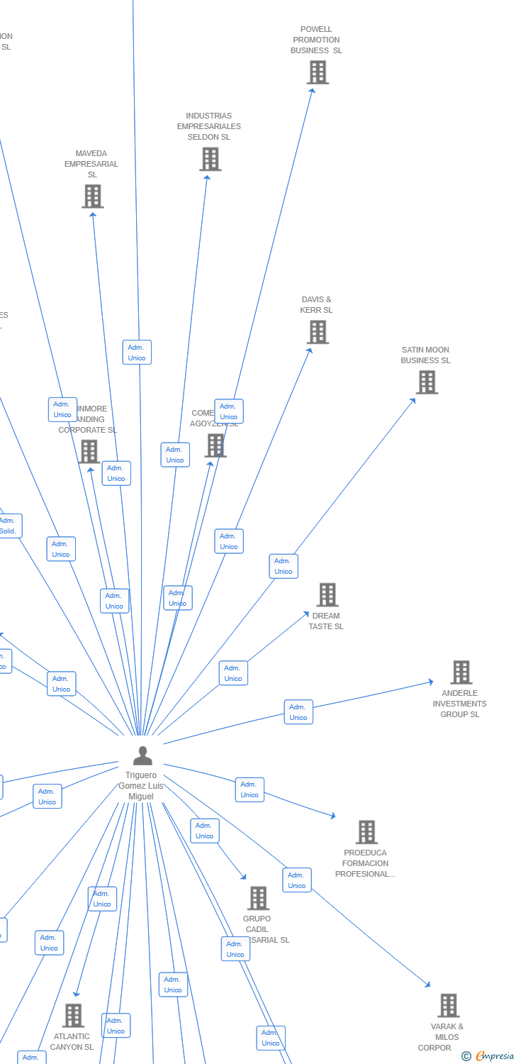 Vinculaciones societarias de MORRISON ENTERPRISE SL
