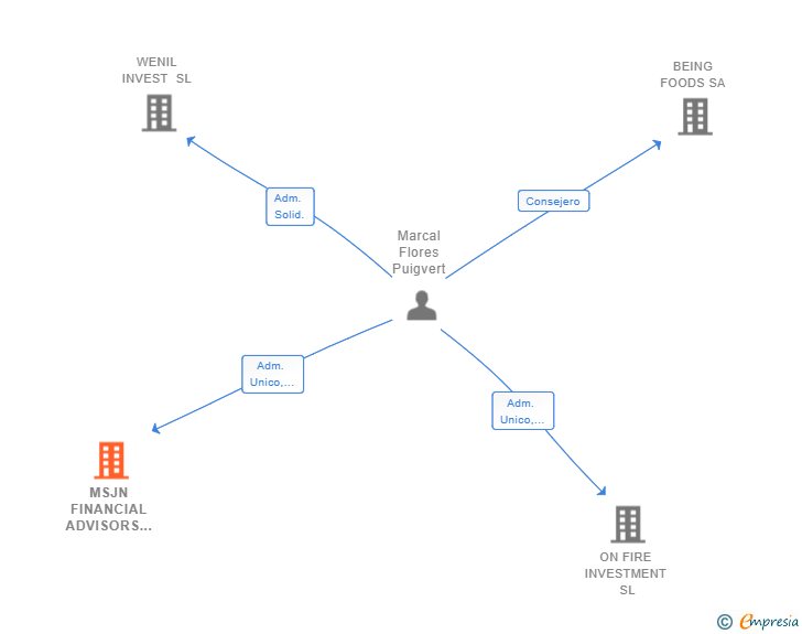 Vinculaciones societarias de MSJN FINANCIAL ADVISORS SL