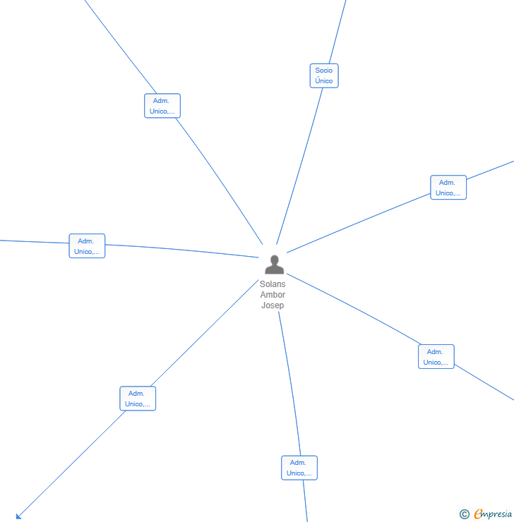 Vinculaciones societarias de AMASSIS INVERSIONS SL