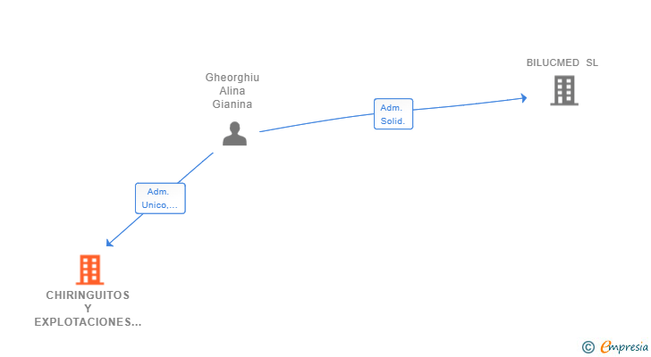 Vinculaciones societarias de CHIRINGUITOS Y EXPLOTACIONES SL