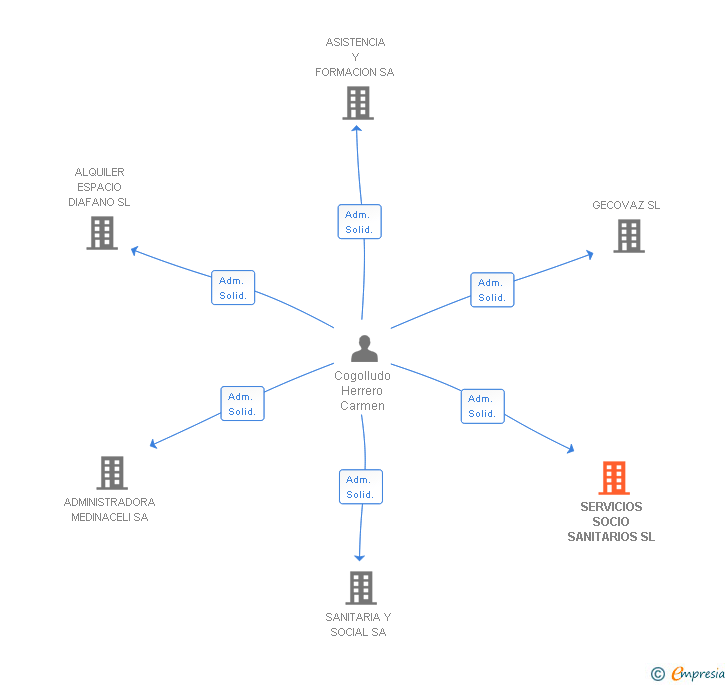 Vinculaciones societarias de SERVICIOS SOCIO SANITARIOS SL