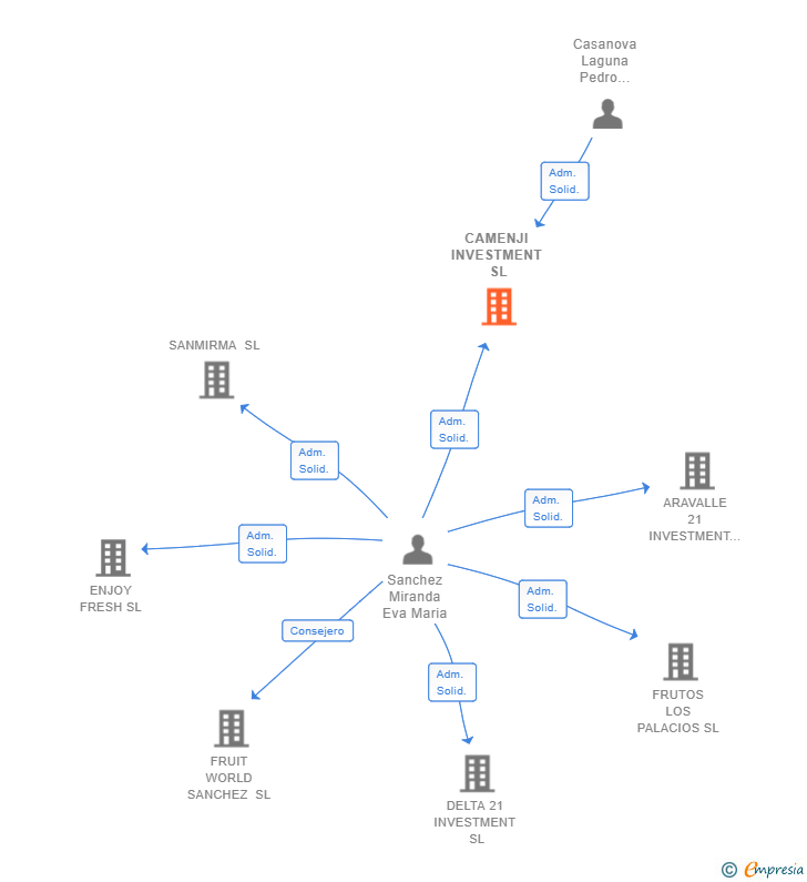 Vinculaciones societarias de CAMENJI INVESTMENT SL