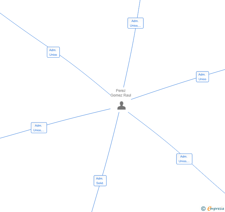 Vinculaciones societarias de CAMANT INVERSIONES SL