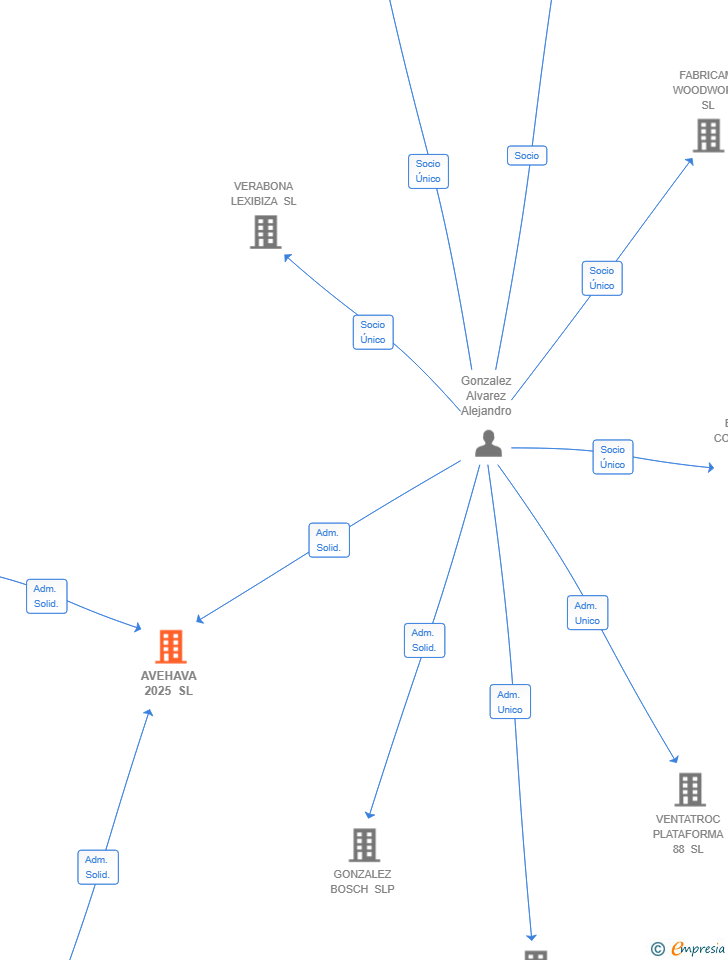 Vinculaciones societarias de AVEHAVA 2025 SL