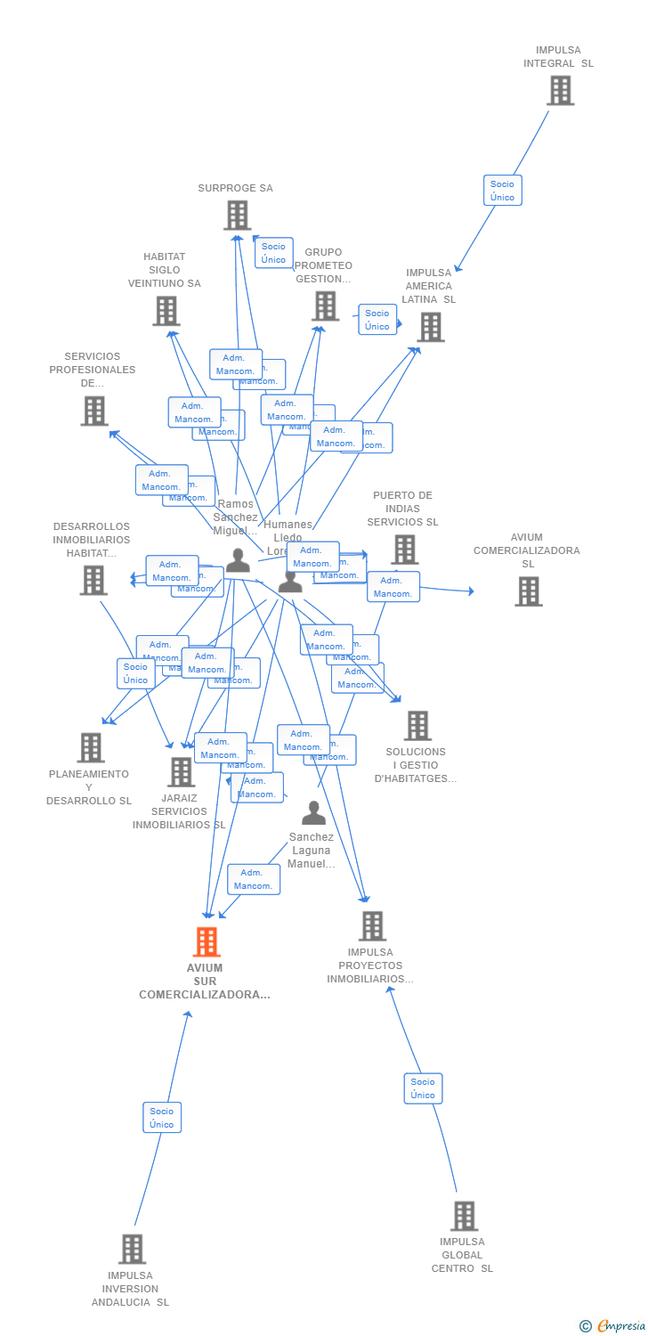 Vinculaciones societarias de AVIUM SUR COMERCIALIZADORA SL