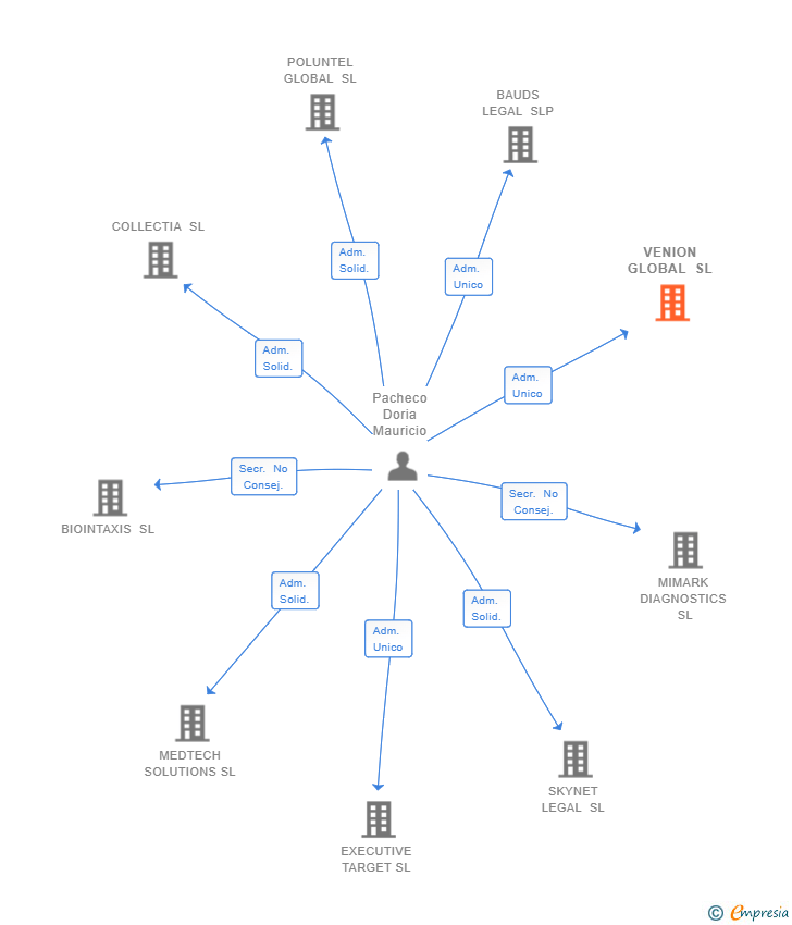 Vinculaciones societarias de VENION GLOBAL SL