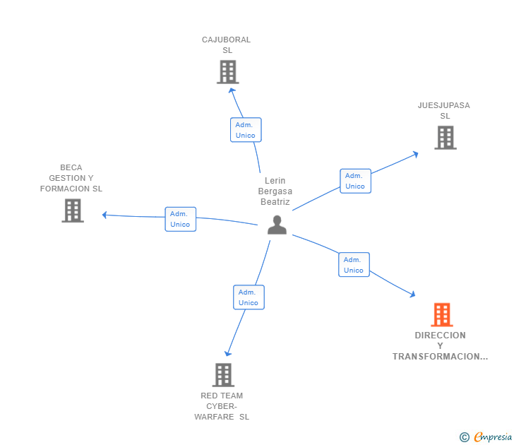 Vinculaciones societarias de DIRECCION Y TRANSFORMACION DIGITAL SL