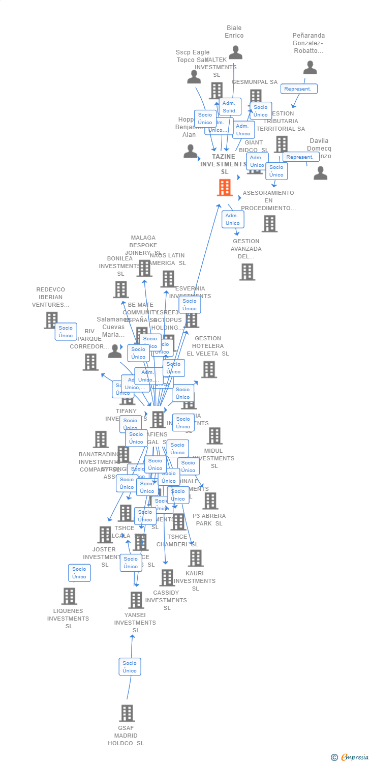 Vinculaciones societarias de TAZINE INVESTMENTS SL