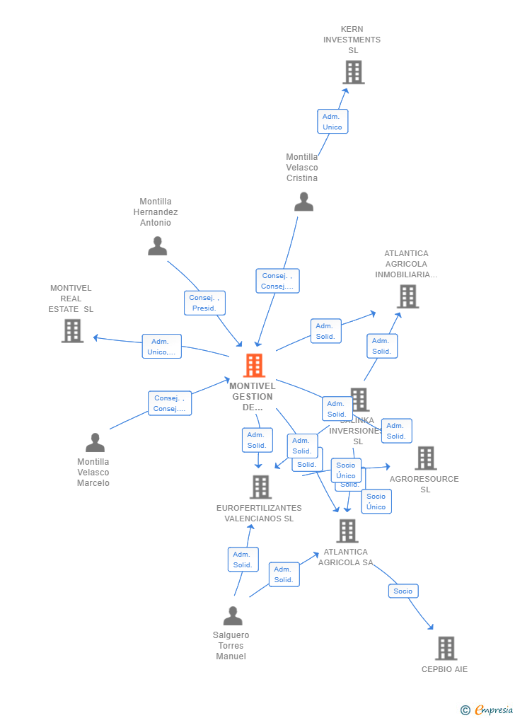 Vinculaciones societarias de MONTIVEL GESTION DE INVERSIONES SL