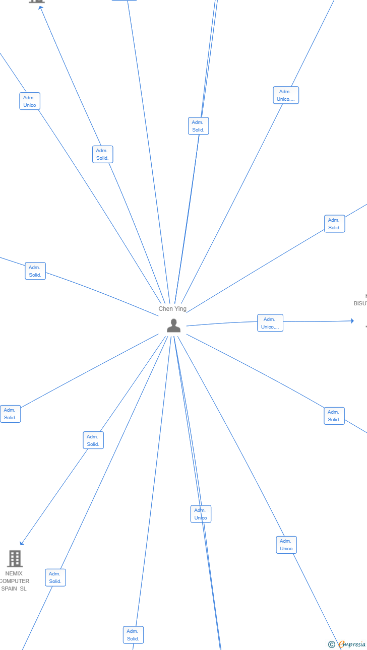 Vinculaciones societarias de MAXWELL SOLUTIONS SL