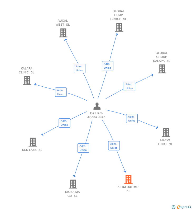 Vinculaciones societarias de SERAUXEMP SL