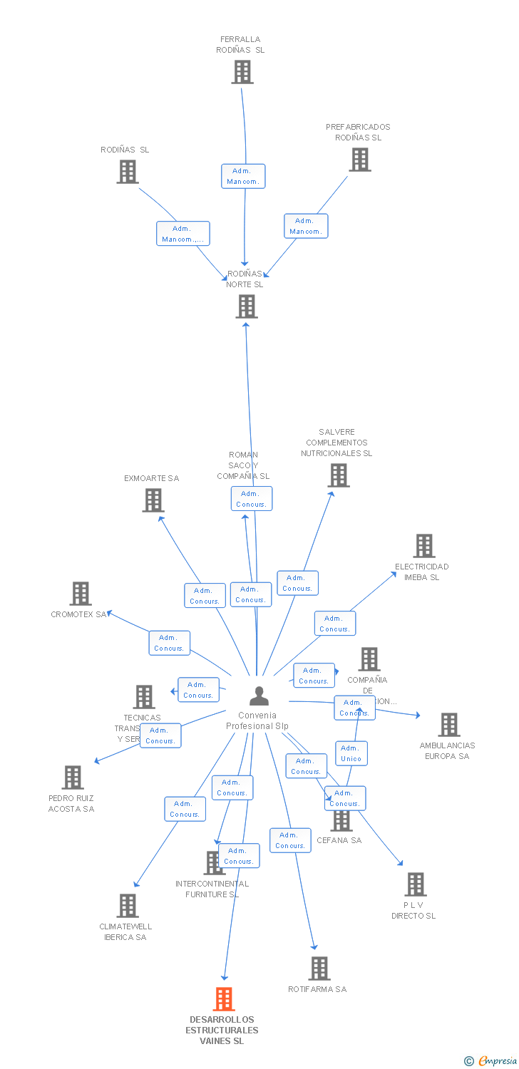 Vinculaciones societarias de DESARROLLOS ESTRUCTURALES VAINES SL