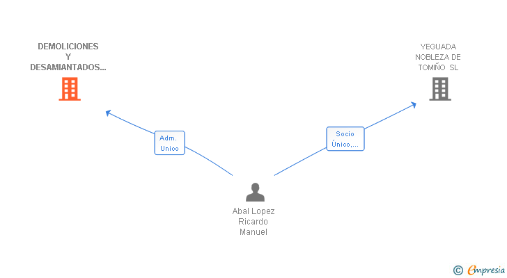 Vinculaciones societarias de DEMOLICIONES Y DESAMIANTADOS GALICIA SL