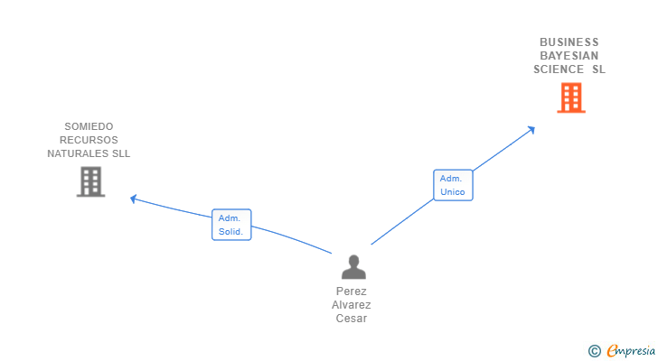 Vinculaciones societarias de BUSINESS BAYESIAN SCIENCE SL