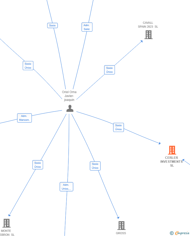 Vinculaciones societarias de CERLER INVESTMENTS SL