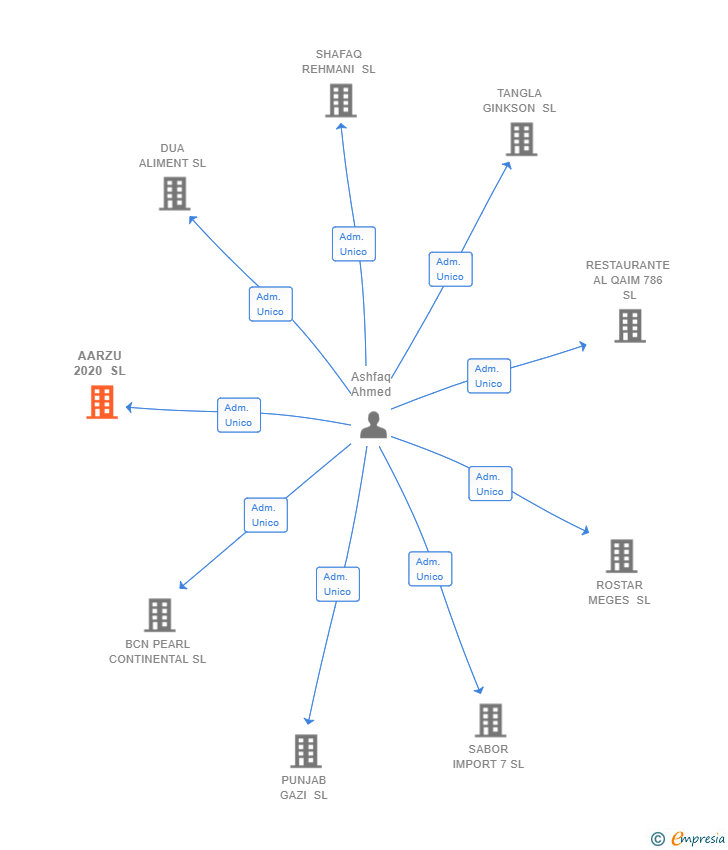 Vinculaciones societarias de AARZU 2020 SL