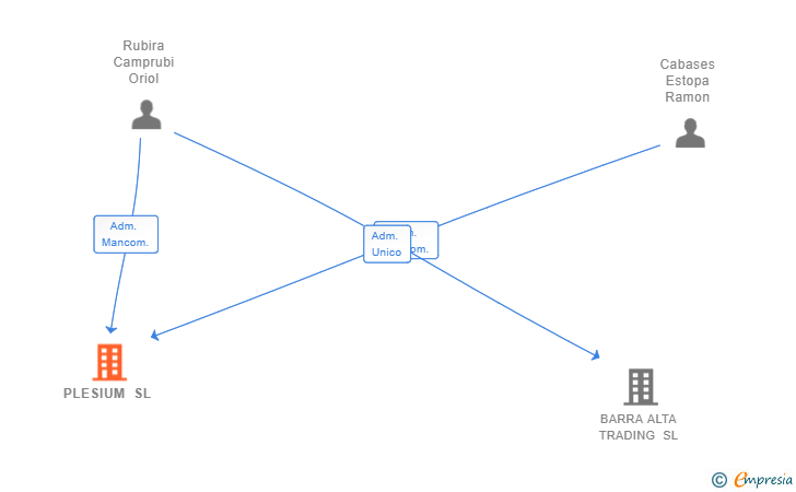 Vinculaciones societarias de PLESIUM SL