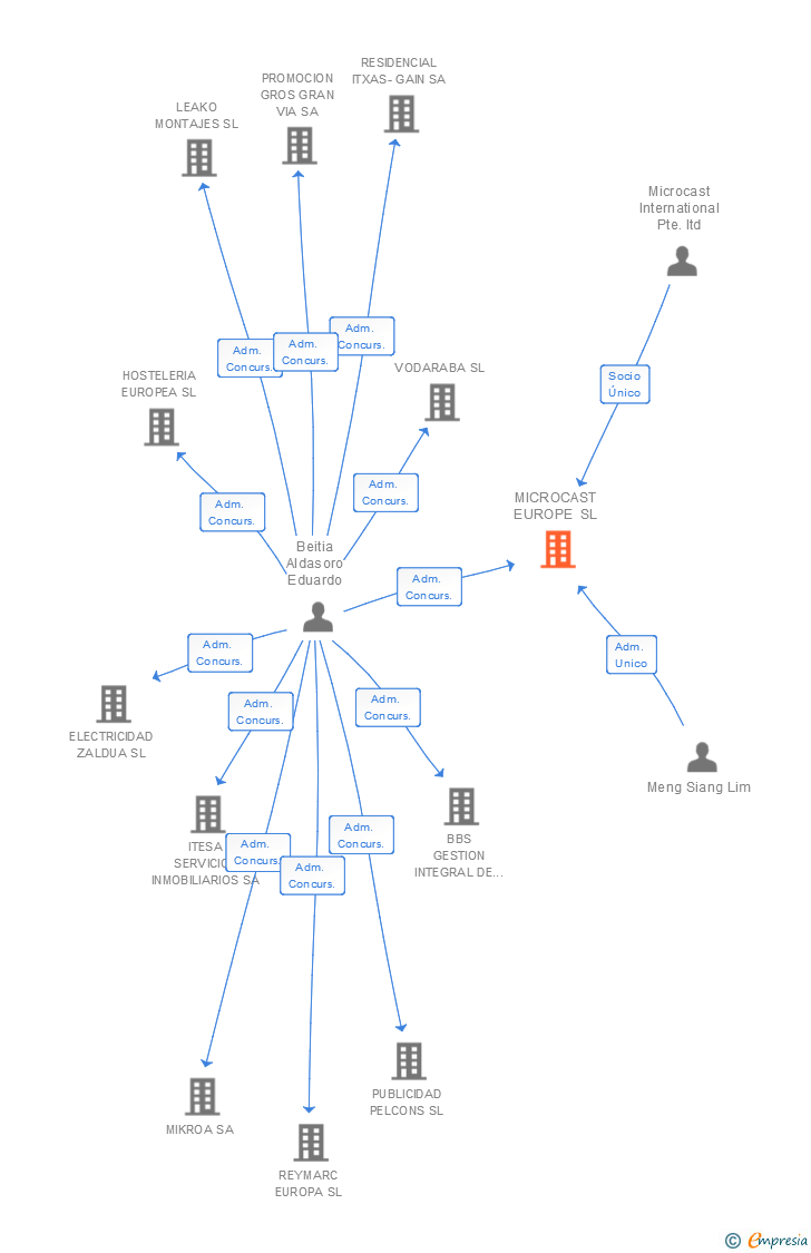 Vinculaciones societarias de MICROCAST EUROPE SL