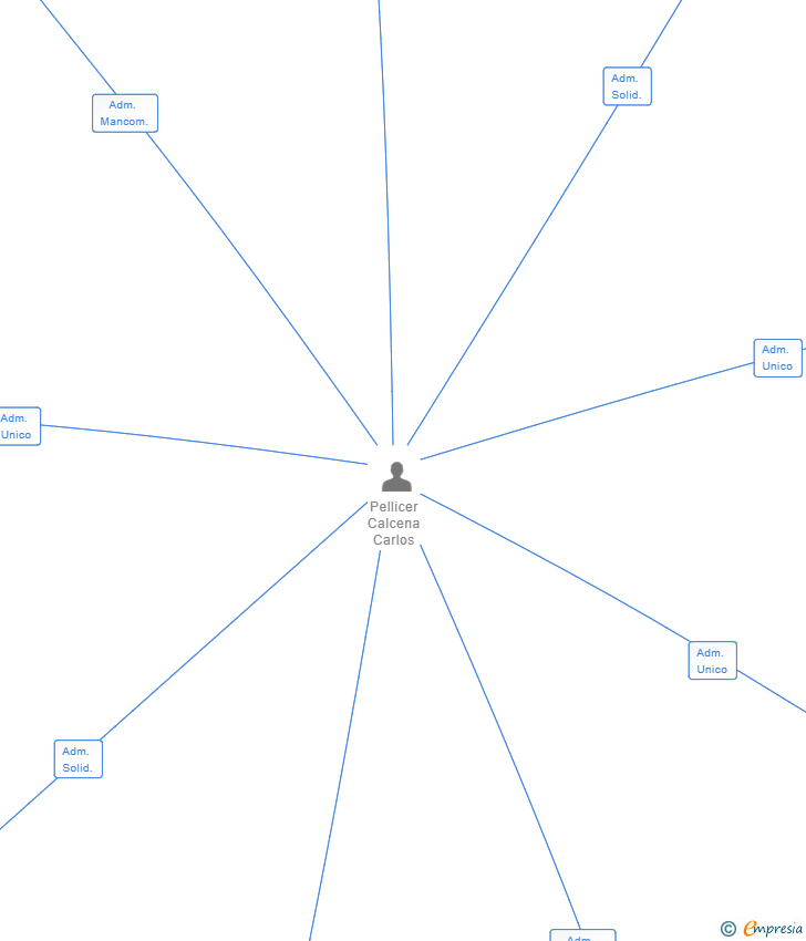 Vinculaciones societarias de VIALSER INVERSION SL