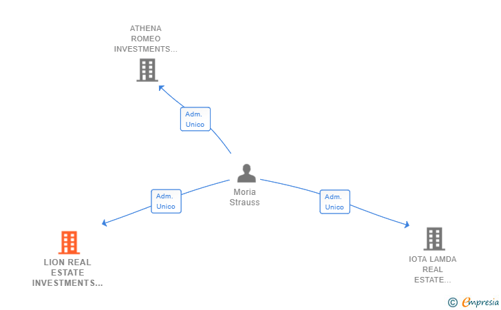Vinculaciones societarias de LION REAL ESTATE INVESTMENTS SL