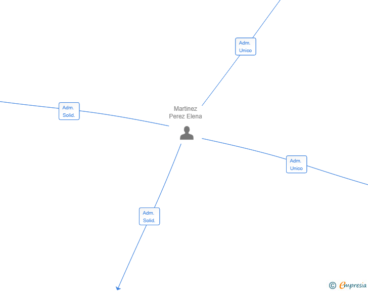 Vinculaciones societarias de WHATS NEXT EXPERIENCE SL