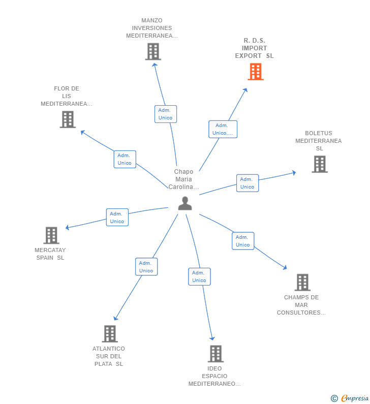 Vinculaciones societarias de R.D.S. IMPORT EXPORT SL