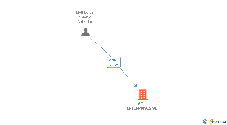Vinculaciones societarias de AML ENTERPRISES SL