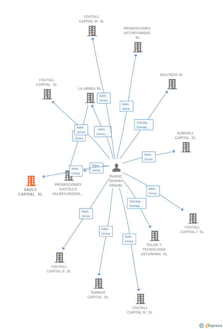Vinculaciones societarias de SAULE CAPITAL SL