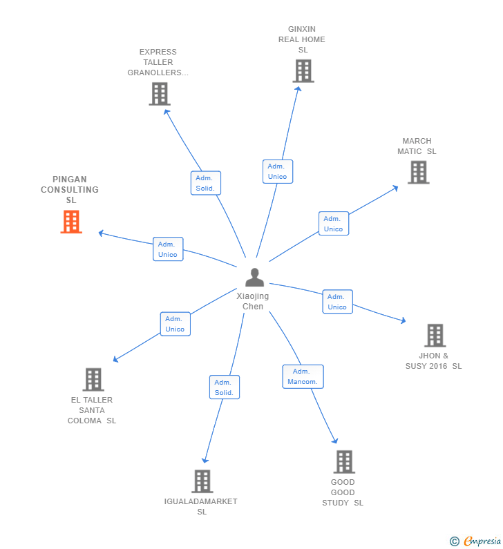 Vinculaciones societarias de PINGAN CONSULTING SL