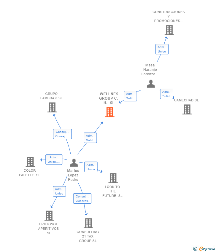 Vinculaciones societarias de WELLNES GROUP C. H. SL