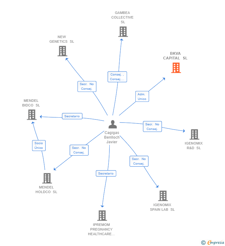 Vinculaciones societarias de BKVA CAPITAL SL