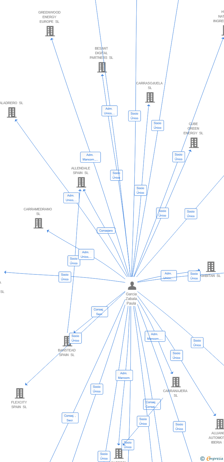 Vinculaciones societarias de DACORUM PROJECT SPAIN SL