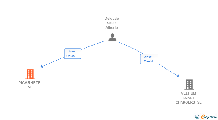 Vinculaciones societarias de PICARNETE SL